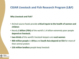 Innovation platforms in the aquaculture value chain in Egypt (in Arabic)