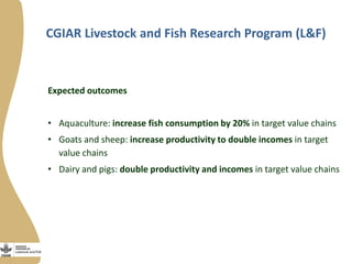 Innovation platforms in the aquaculture value chain in Egypt (in Arabic)