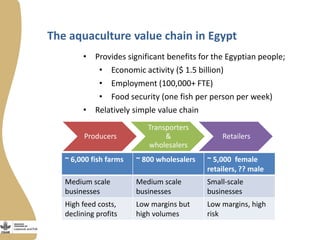 Innovation platforms in the aquaculture value chain in Egypt (in Arabic)