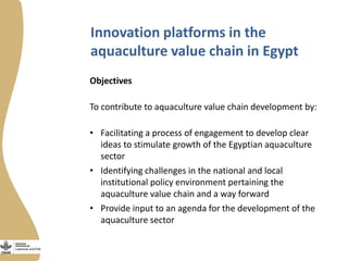 Innovation platforms in the aquaculture value chain in Egypt
