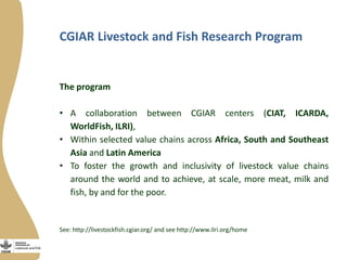 Innovation platforms in the aquaculture value chain in Egypt