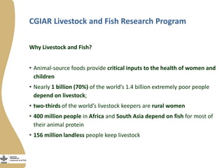 Innovation platforms in the aquaculture value chain in Egypt