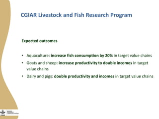 Innovation platforms in the aquaculture value chain in Egypt