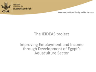 Innovation platforms in the aquaculture value chain in Egypt