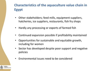Innovation platforms in the aquaculture value chain in Egypt