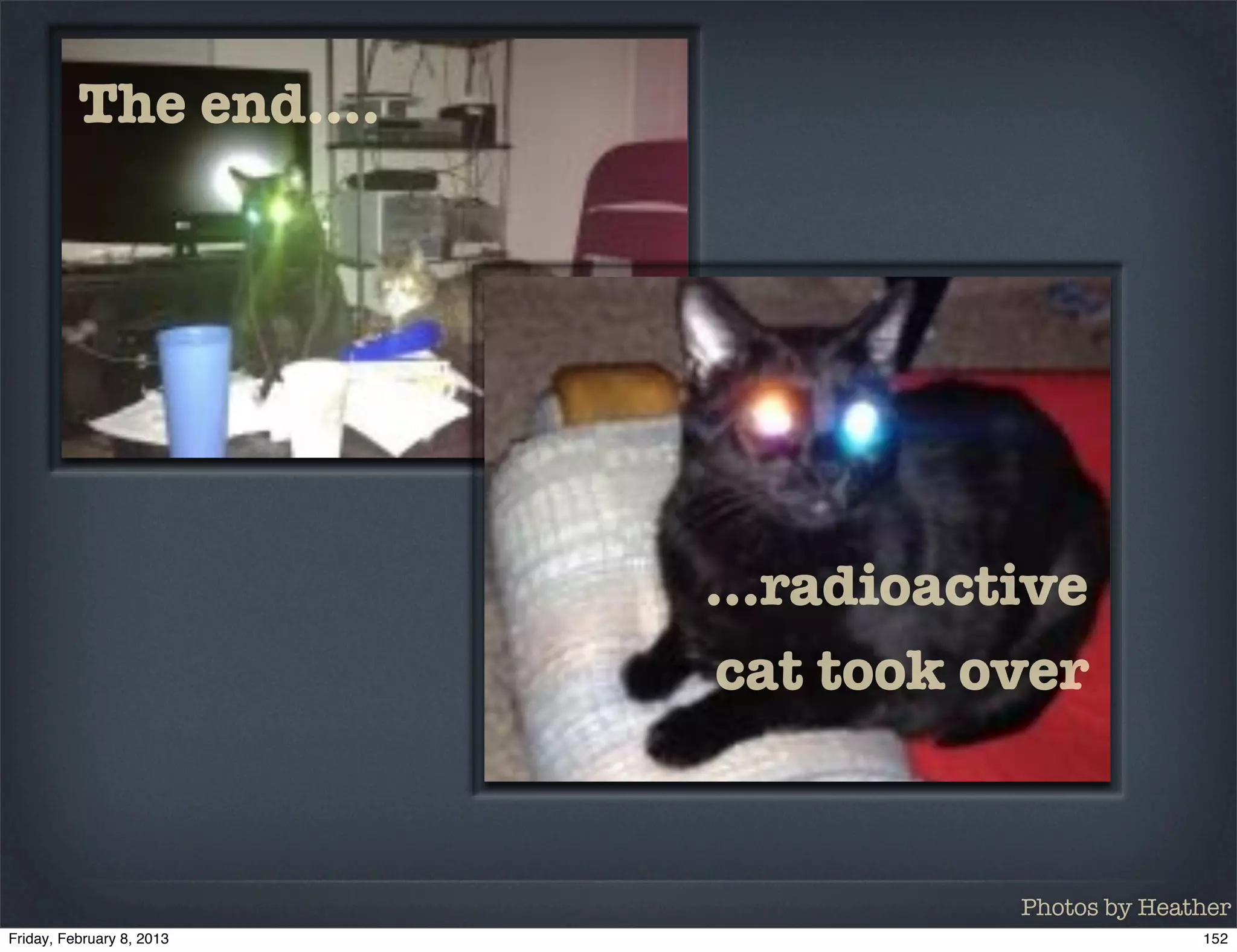 The end....




              ...radioactive
               cat took over


                         Photos by Heather
 