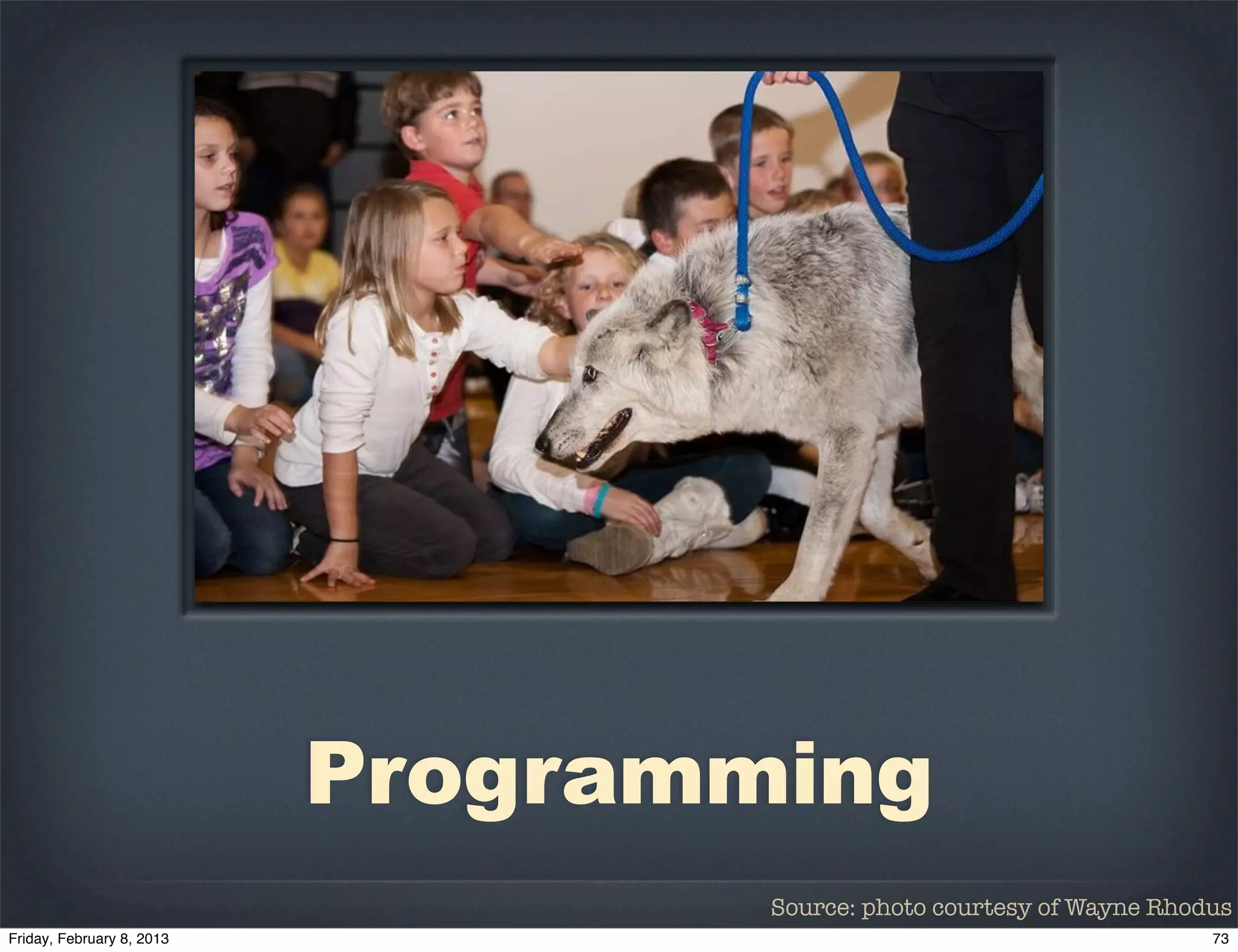 Programming
        Source: photo courtesy of Wayne Rhodus
 