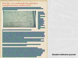 Student reflective journal 