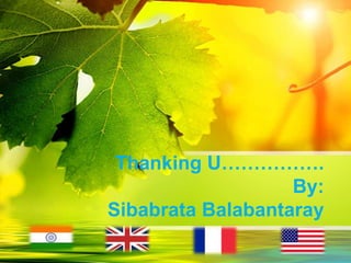 Thanking U…………….
By:
Sibabrata Balabantaray
 