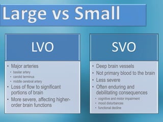 Lvo Innovations in Stroke Care FB2023.pptx