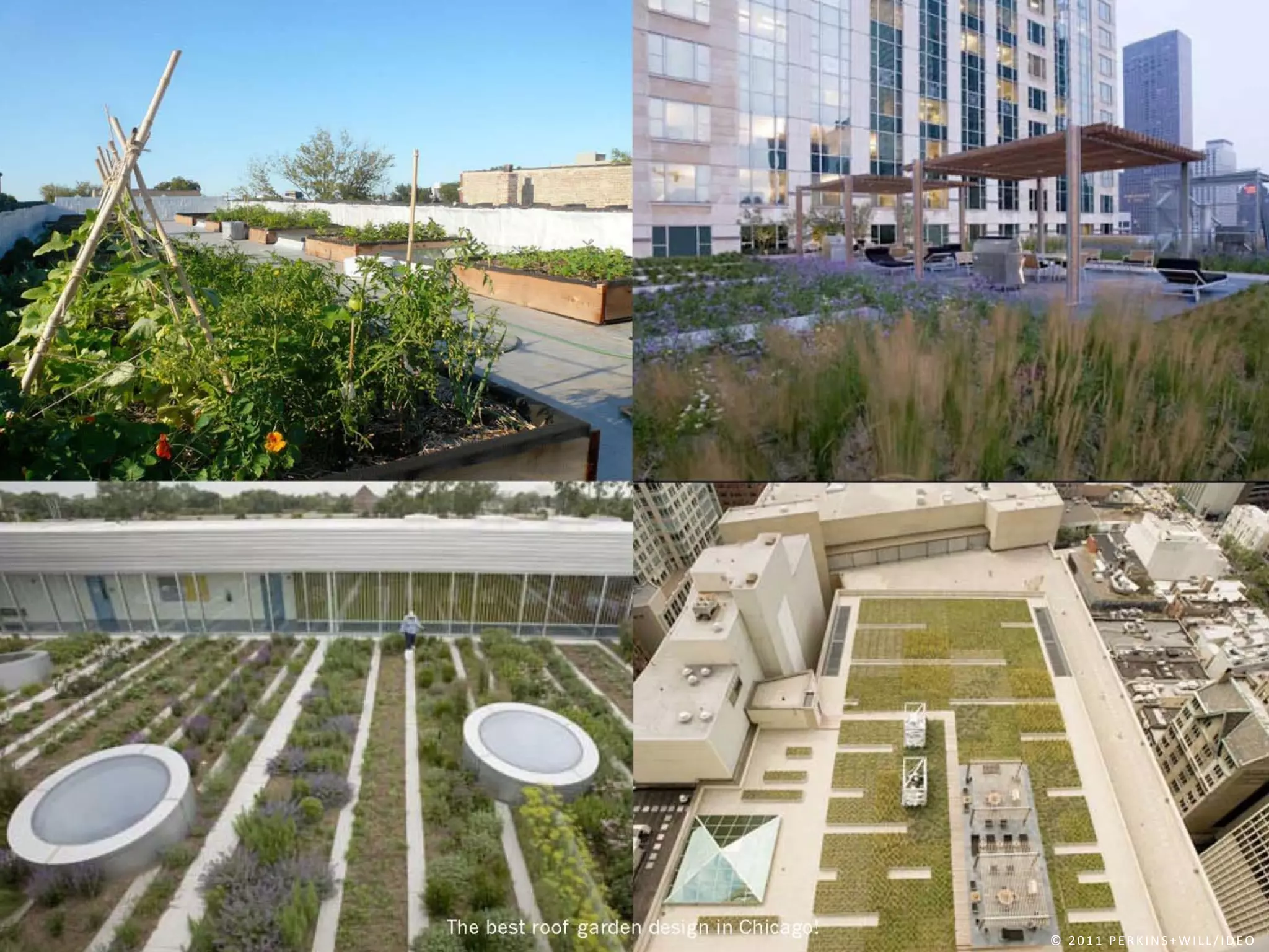 © 	
   2 0 1 1 	
   P E R K I N S + W I L L / I D E O
 