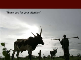 Innovations and incentives in agricultural research for poor countries 