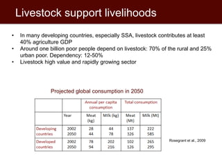 Innovations and incentives in agricultural research for poor countries 