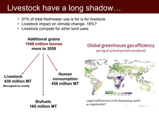 Innovations and incentives in agricultural research for poor countries 