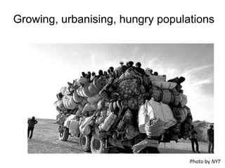 Innovations and incentives in agricultural research for poor countries 