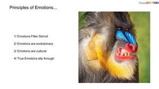 Principles of Emotions...
1/ Emotions Filter Stimuli
2/ Emotions are evolutionary
3/ Emotions are cultural
4/ True Emotions slip through
 