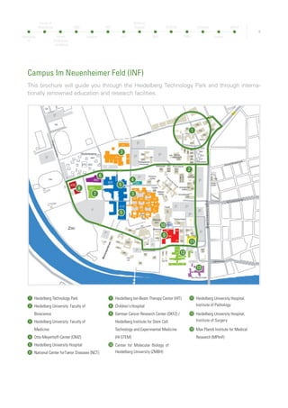 5
Services of Technologiepark
Heidelberg GmbH
•	 Entrée to an international network of
	 science, business and public life
•	 International Partner Port
•	 Lab and office infrastructure with high
	flexibility
•	 Education programs
•	 Kindergarten
•	 Supply and waste management for
	chemicals
•	 Secretary and marketing services
•	 Conference rooms / lounge / restaurant
•	 Car sharing station
Offers lab and office infrastructure since 1984: Heidelberg Technology
Park, located in the north of Campus Neuenheimer Feld
Core facilities of the German Cancer Research
Center (DKFZ) are located in buildings of the
Heidelberg Technology Park.
The Heidelberg Technology Park, conceived as a biology park, is a
science park that makes up part of the Ruprecht-Karls-University
campus. Covering an area of 80,000 m², with more than 80 resident
companies and nearing 1,600 employees, it is amongst the most
important biotechnology sites in Germany and amongst the leading
worldwide.
Since its creation in 1984, the Heidelberg Technology Park, with its
mix of bio, medical, information, communication and environmental
technologies, as well as environmental business, has grown into
an important entity, giving fresh impetus to scientific research and
business. New laboratory and office facilities are available.
Technologiepark Heidelberg GmbH, as the operating company of
the technology park, is the central contact for companies and as-
sociated members.
The International Partnerport within the Heidelberg Technology
Park offers an opportunity for companies and institutions to easily
set up their presence in Heidelberg. An EU/German home office,
virtual offices and specific services are available.
Heidelberg Technology Park
The Science park is part of the Campus “Neuenheimer Feld“ and offers services and infra-
structure for start-up
Heidelberg
TP
Faculty of
Biosciences
Faculty
of Medicine
Heidelberg
OMZ
Hospital
NCT
HIT
Children’s
Hospital
DKFZ
HI-STEM
ZMBH
Pathology
Surgery
MPImF
 