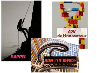 • Rappel
• ADN personnel
• ADN d’entreprises
Rappel
ADN
de l’innovateur
ADNd’entreprise
 