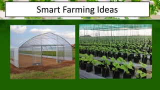 Smart Farming Ideas | PPTX