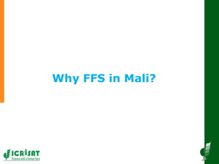 Innovative and successful Farmer Field Schools (FFS) experiences in Mali