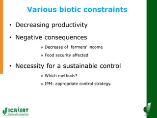 Innovative and successful Farmer Field Schools (FFS) experiences in Mali