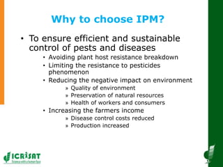 Innovative and successful Farmer Field Schools (FFS) experiences in Mali