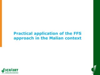 Innovative and successful Farmer Field Schools (FFS) experiences in Mali