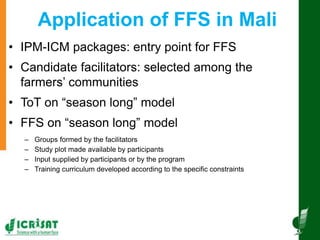 Innovative and successful Farmer Field Schools (FFS) experiences in Mali