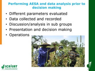 Innovative and successful Farmer Field Schools (FFS) experiences in Mali