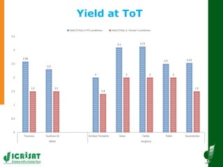 Innovative and successful Farmer Field Schools (FFS) experiences in Mali