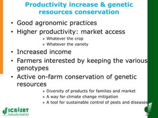 Innovative and successful Farmer Field Schools (FFS) experiences in Mali