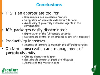 Innovative and successful Farmer Field Schools (FFS) experiences in Mali