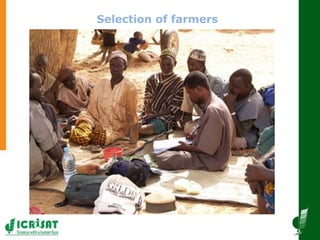 Innovative and successful Farmer Field Schools (FFS) experiences in Mali