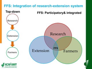 Innovative and successful Farmer Field Schools (FFS) experiences in Mali