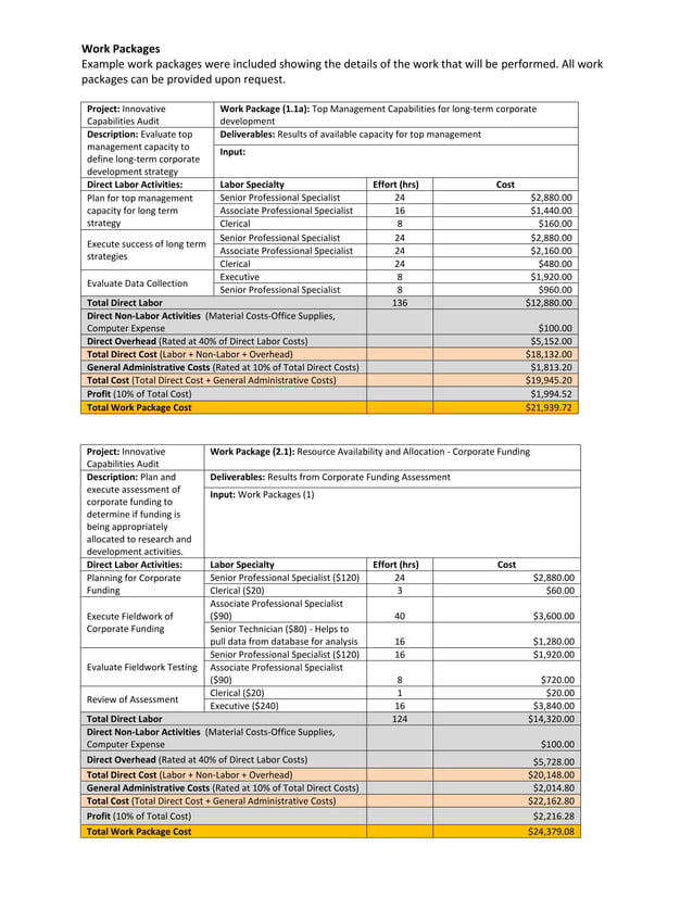 Innovative capabilities audit project plan PDF(06)