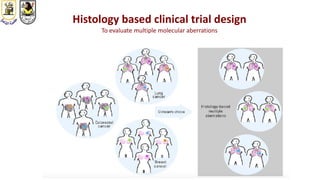 Histology based clinical trial design
To evaluate multiple molecular aberrations
 