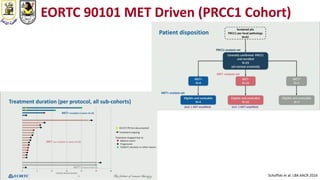 EORTC 90101 MET Driven (PRCC1 Cohort)
Schoffski et al. LBA AACR 2016
 