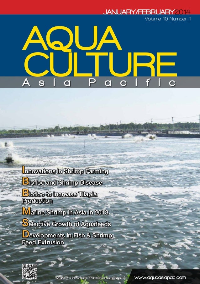 Innovative ideas in shrimp farming