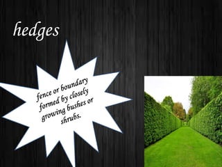 hedges
 