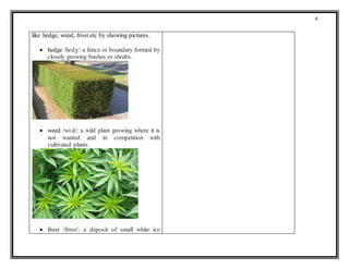 6
like hedge, weed, frost etc by showing pictures.
 hedge /hɛdʒ/: a fence or boundary formed by
closely growing bushes or shrubs.
 weed /wiːd/: a wild plant growing where it is
not wanted and in competition with
cultivated plants.
 frost /frɒst/: a deposit of small white ice
 