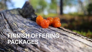 8
FINNISH OFFERING
PACKAGES
 