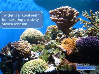 Twitter is a “coral reef”
for nurturing creativity.
Steven Johnson




                            only_point_five
 
