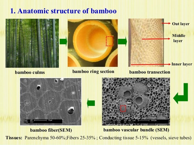 Image result for COMPOSITION of bamboo fibre
