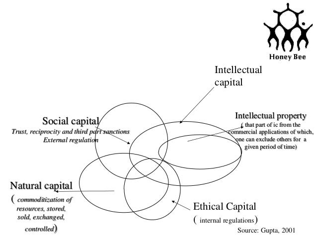 Frugal Innovation Using Natural Resources Frugal Innovation Using Natural Resources