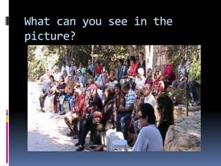 What can you see in the 
picture? 
 