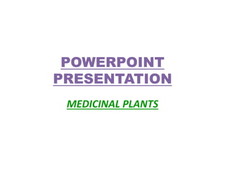 POWERPOINT 
PRESENTATION 
MEDICINAL PLANTS 
 