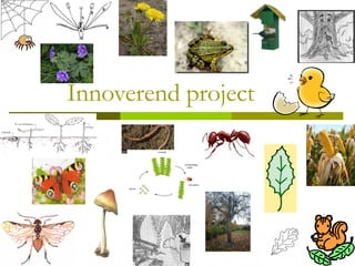 Innoverend project 