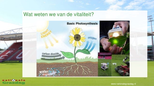 Innoveren is leren van anderen