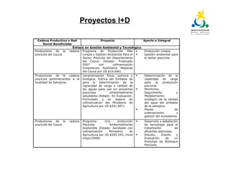 Plan tecnológico para la cadena piscícola del Cauca: Un escenario para la innovación abierta
