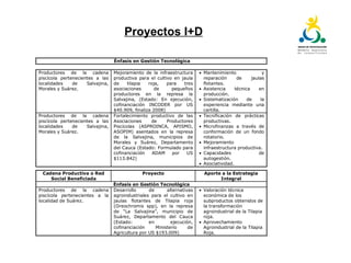 Plan tecnológico para la cadena piscícola del Cauca: Un escenario para la innovación abierta